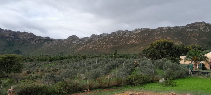3 Bedroom Property for Sale in Firlands Western Cape